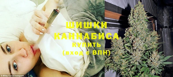 МДПВ Мегион